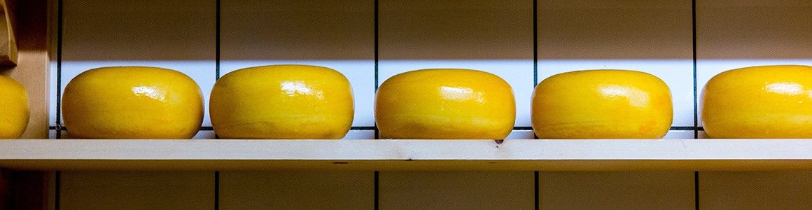 Cheddar Cheese Wheels on a shelf.